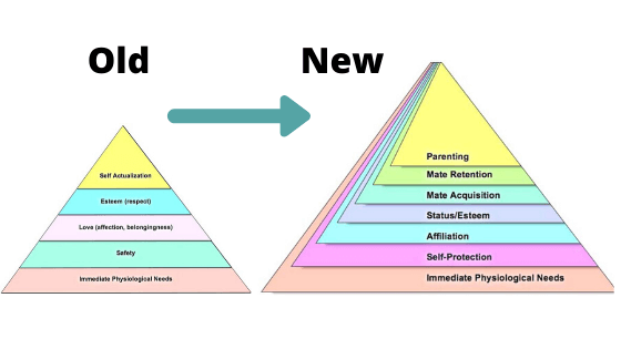 updated maslows pyramid of needs